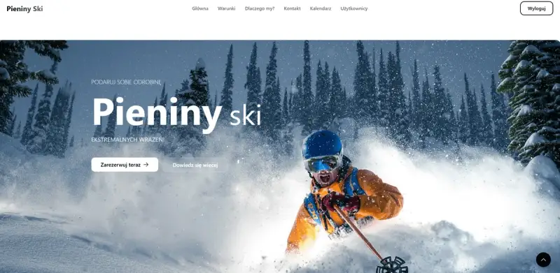 System instruktorów nauki jazdy - projekt strony internetowej