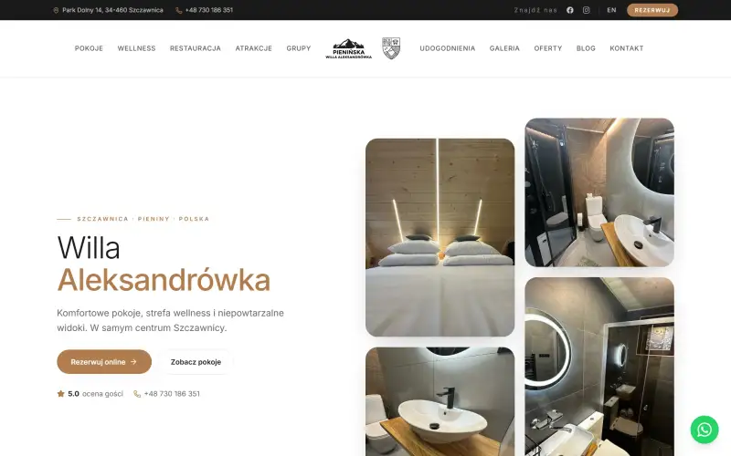 Aleksandrówka - projekt strony internetowej